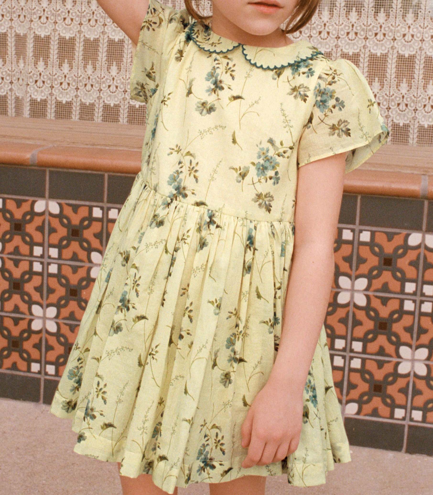 DUA DRESS -- SUNSHINE PRAIRIE ROSE - Image 2