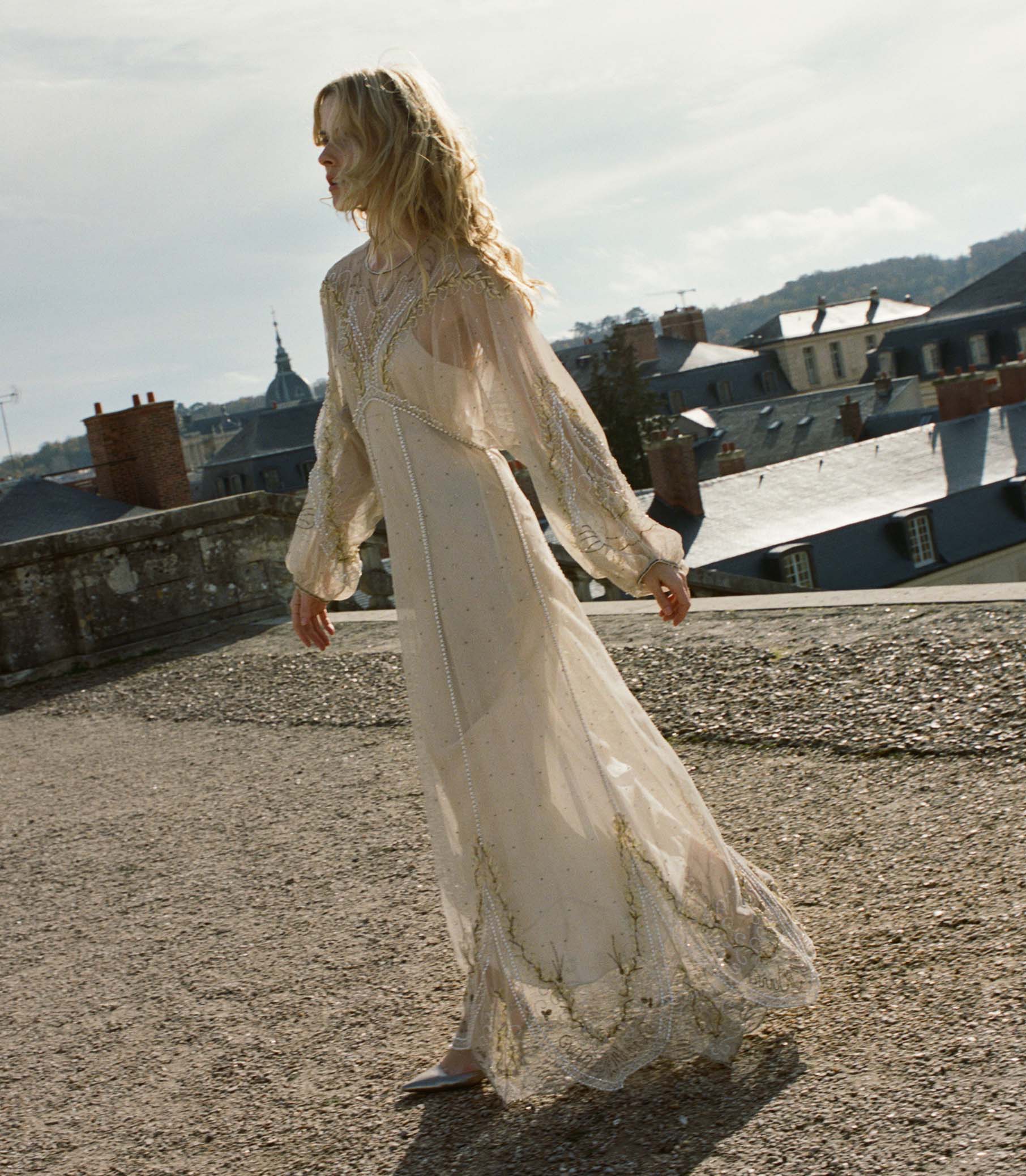OLIANA ANNIVERSARY DRESS -- JARDIN D'AMBOISE - Image 3